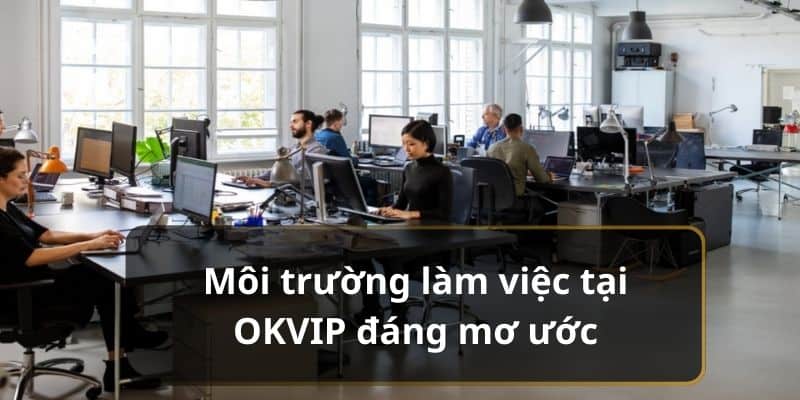 Môi trường làm việc tại OKVIP đáng mơ ước