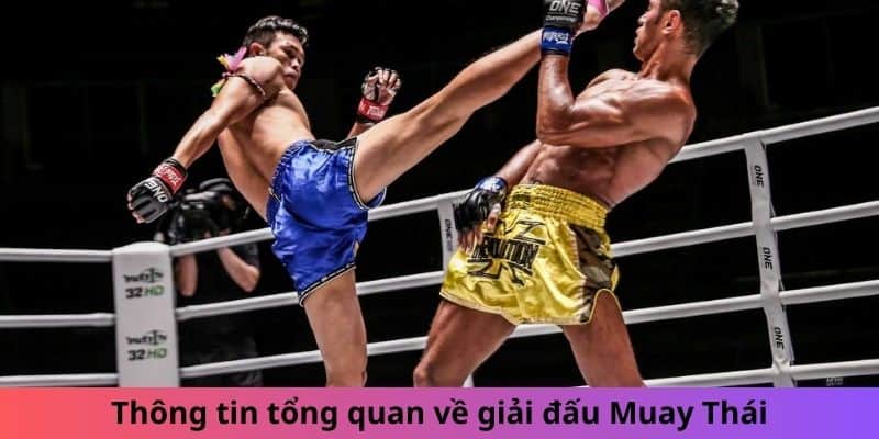 Thông tin tổng quan về giải đấu Muay Thái